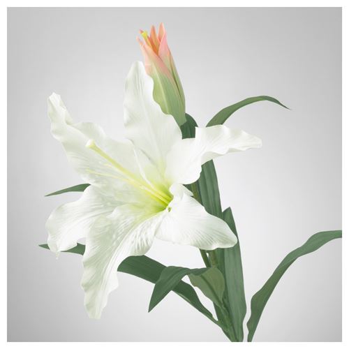 IKEA - SMYCKA, artificial flower, white, 85 cm