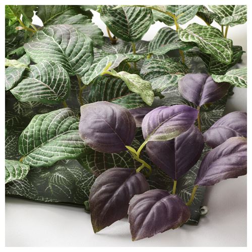 IKEA - FEJKA, yapay bitki, yeşil-lila, 26x26 cm