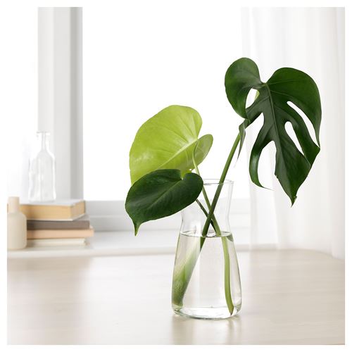 IKEA - KARAFF, carafe, glass, 1 l