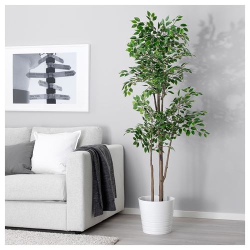IKEA - FEJKA, yapay bitki, yeşil, 21 cm
