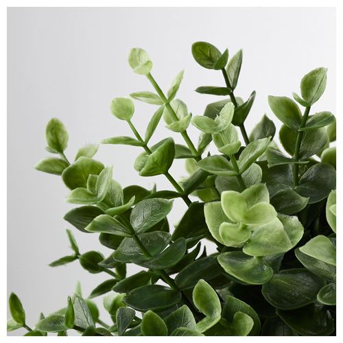 IKEA - FEJKA, artificial plant, green, 9 cm