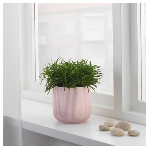 IKEA - GRADVIS, stoneware plant pot, pink, 12 cm