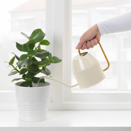 IKEA - VATTENKRASSE, watering can, ivory/gold-colour, 0.9 l