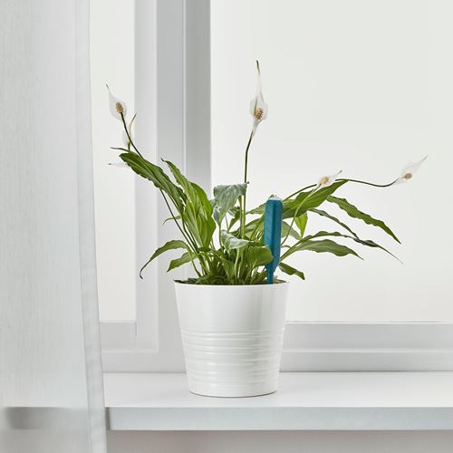 IKEA - CHILIPULVER, çiçek sulama sensörü, yeşil