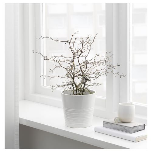 IKEA - MUSKOT, earthenware plant pot, white, 12 cm