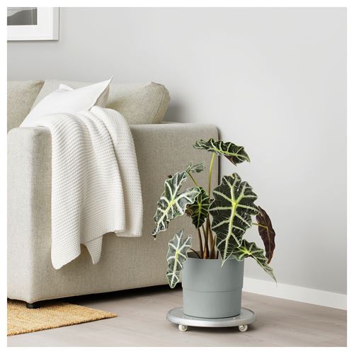 IKEA - NYPON, plastic plant pot, grey, 19 cm