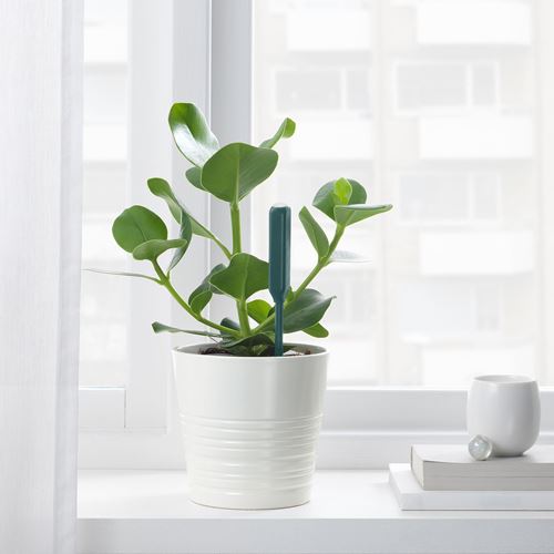 IKEA - CHILIPULVER, çiçek sulama sensörü, yeşil