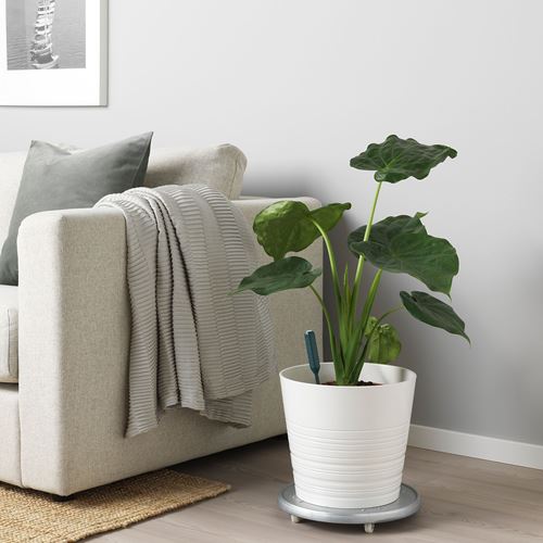 IKEA - CHILIPULVER, çiçek sulama sensörü, yeşil