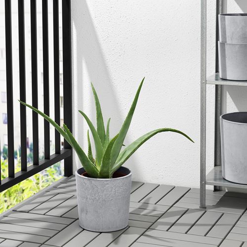 IKEA - BOYSENBAR, concrete plant pot, light grey, 19 cm