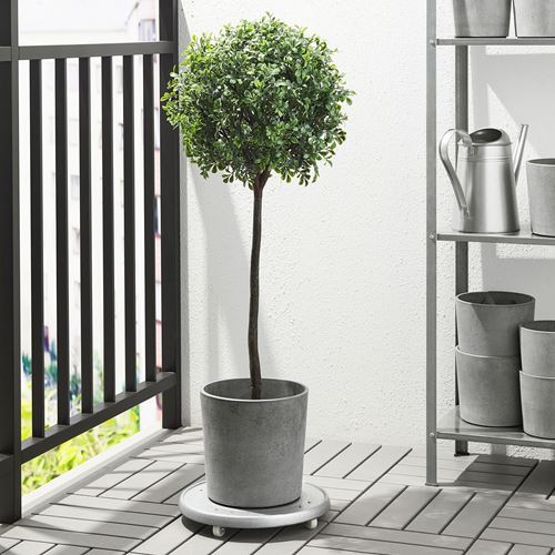 IKEA - BOYSENBAR, concrete plant pot, light grey, 15 cm