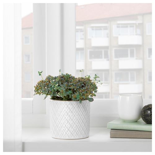 IKEA - CHIAFRÖN, stoneware plant pot, white, 9 cm