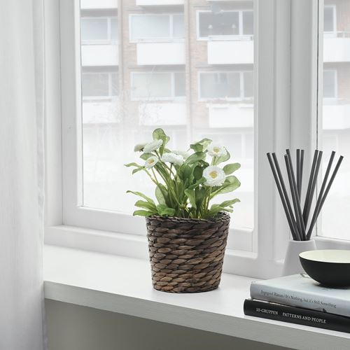 IKEA - DRUVFLADER, rattan plant pot, water hyacinth, 12 cm