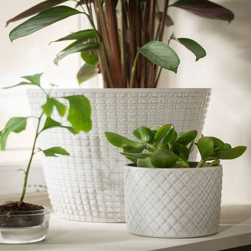 IKEA - CHIAFRÖN, stoneware plant pot, white, 9 cm