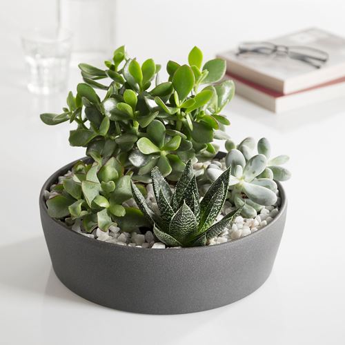 IKEA - DYFT, dekoratif taşlar, beyaz