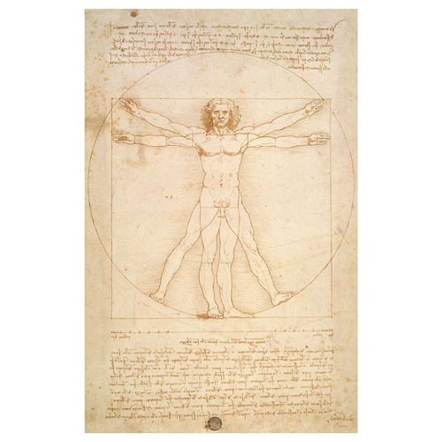 The Vitruvian Man