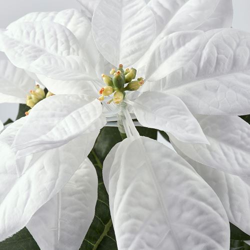 IKEA - VINTERFINT, artificial plant, white, 12 cm