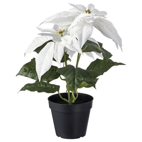 IKEA - VINTERFINT, artificial plant, white, 12 cm