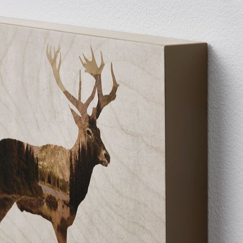 IKEA - BJÖRNAMO, picture, brown, 30x20 cm