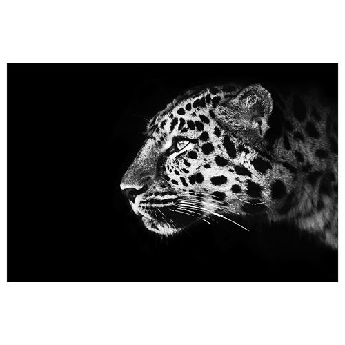 IKEA - BJÖRKSTA, resim, çok renkli, 118x78 cm