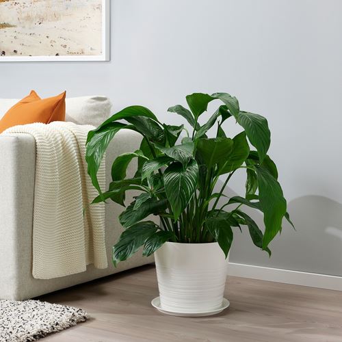 IKEA - BIKARBONAT, saucer, white, 29 cm
