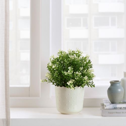 IKEA - SESAMFRÖN, stoneware plant pot, off white, 9 cm