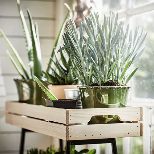 IKEA - VANILJSTANG, plant stand, pine/black, 67 cm