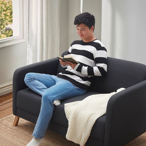 IKEA - LINANAS, 2-seat sofa, vissle dark grey