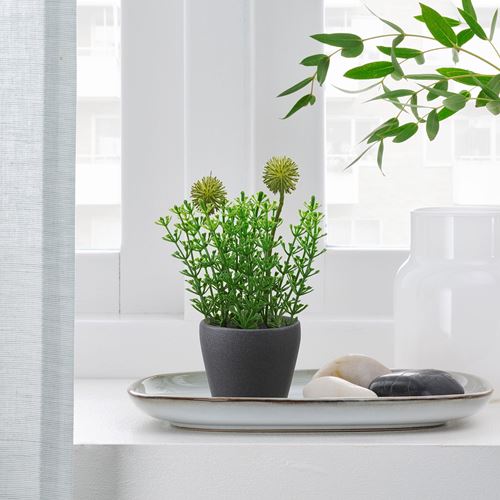 IKEA - PERSILLADE, toprak saksı, koyu gri, 6 cm