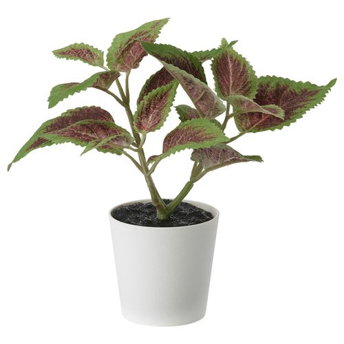 IKEA - FEJKA, saksılı yapay bitki, yeşil, 6 cm