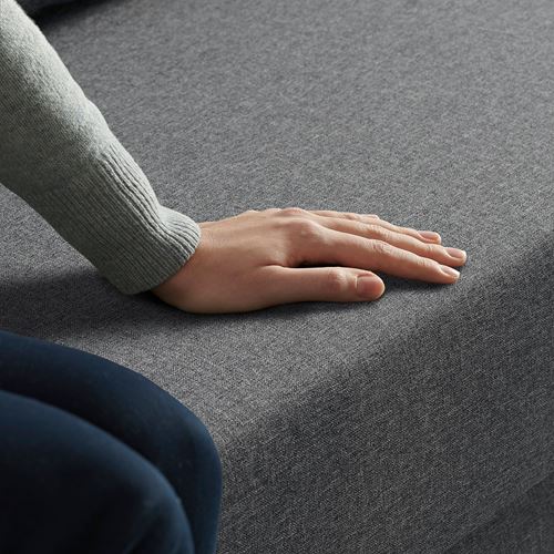 IKEA - ASARUM, 3-seat sofa-bed, grey