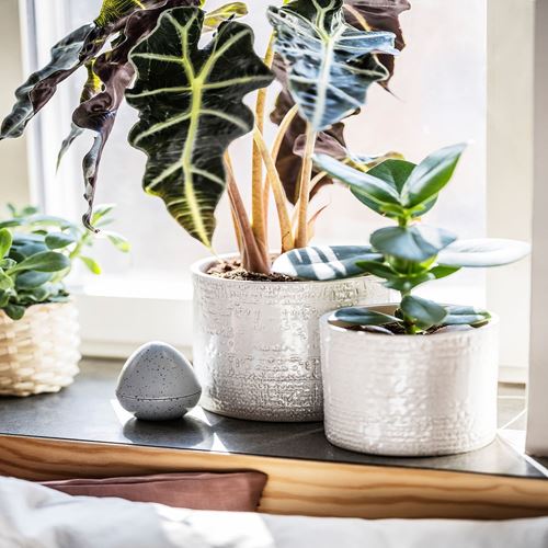 IKEA - CHIAFRÖN, stoneware plant pot, white, 15 cm