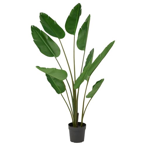 IKEA - FEJKA, artificial plant, green, 23 cm