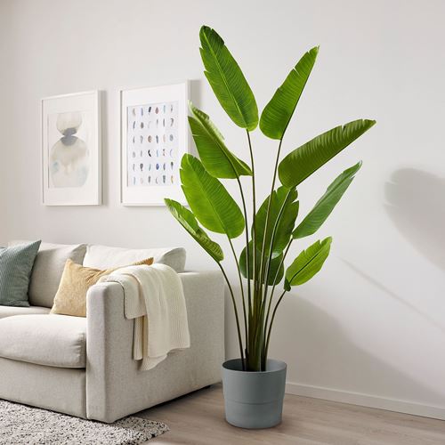 IKEA - FEJKA, artificial plant, green, 23 cm