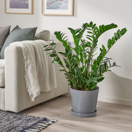IKEA - CITRUSFRUKT, stoneware plant pot, grey, 24 cm