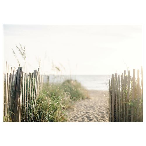 path to the beach