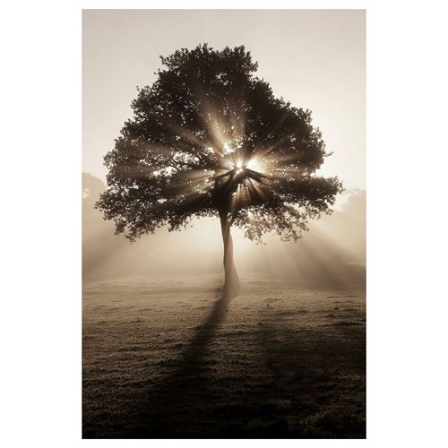 IKEA - BJÖRKSTA, resim, çok renkli, 78x118 cm