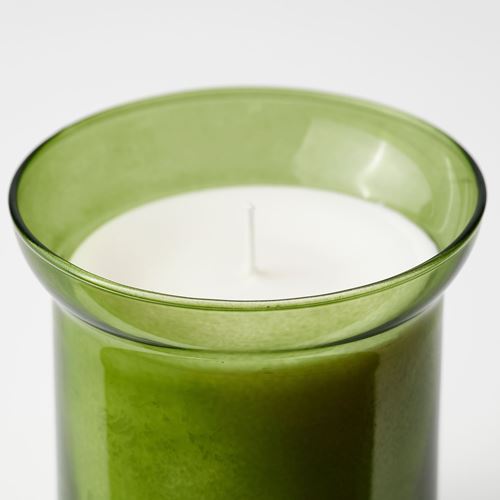 IKEA - HEDERSAM, scented candle in cup, light green, 50 hr