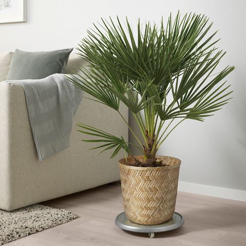 IKEA - KLYNNON, bamboo plant pot, bamboo, 24 cm