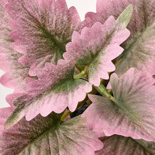 IKEA - FEJKA, artificial potted plant with pot, green, 6 cm