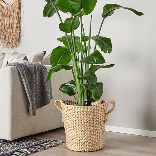 IKEA - TÖRNBAR, rattan saksı, muz lifi, 32 cm