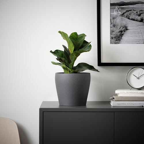 IKEA - PERSILLADE, earthenware plant pot, dark grey, 15 cm