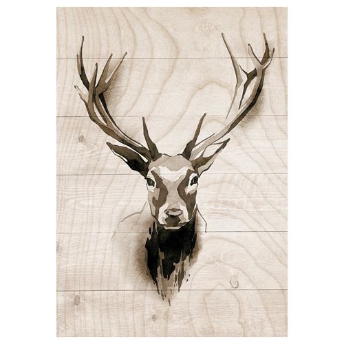 IKEA - PJATTERYD, picture, multicolour, 70x100 cm