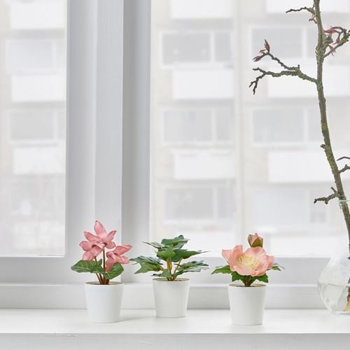 IKEA - FEJKA, saksılı yapay bitki, yeşil-pembe, 6 cm