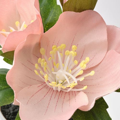 IKEA - FEJKA, saksılı yapay bitki, yeşil-pembe, 6 cm