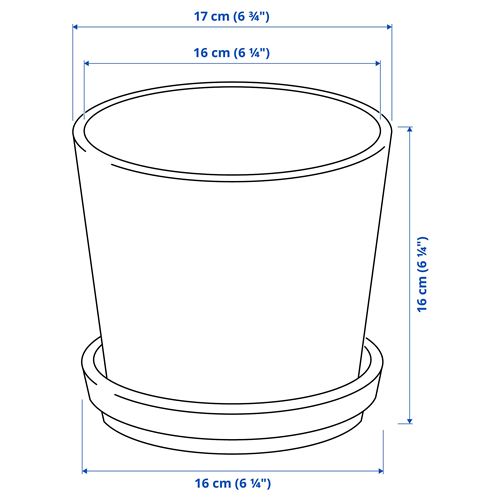 IKEA - CITRUSFRUKT, beton saksı, sarı-kahverengi, 15 cm