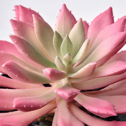 IKEA - FEJKA, yapay bitki, çok renkli