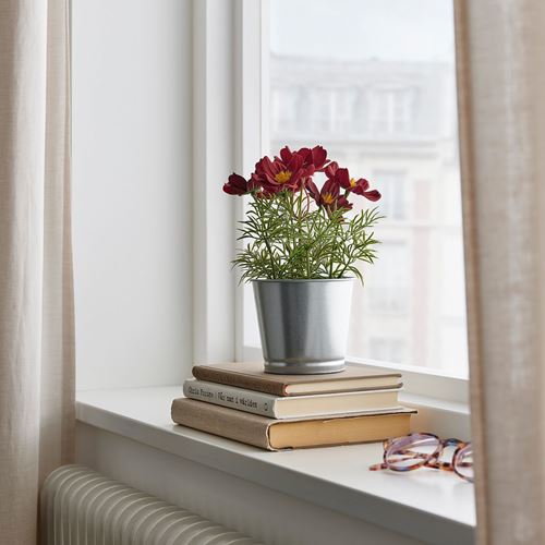 FEJKA, artificial plant, dark red, 9 cm