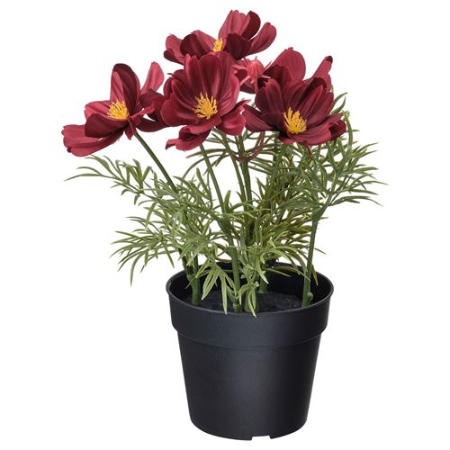 FEJKA, artificial plant, dark red, 9 cm