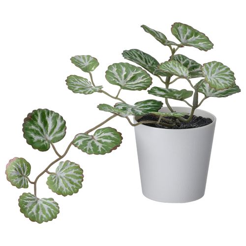 IKEA - FEJKA, artificial potted plant with pot, green/white, 6 cm