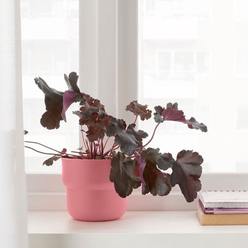 IKEA - FÖRENLIG, plastic plant pot, pink, 12 cm